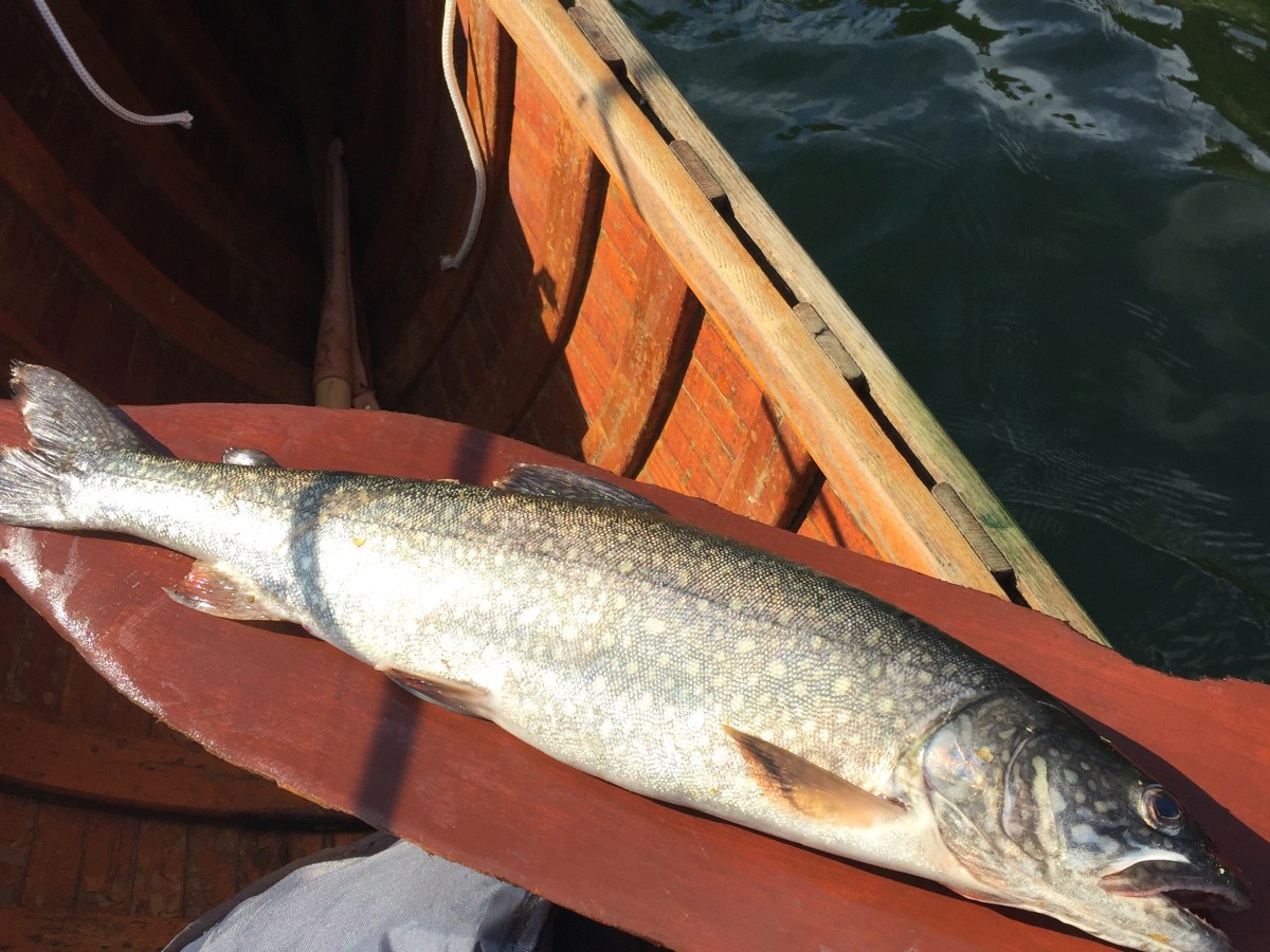 2020: Catches of the&nbsp;Year